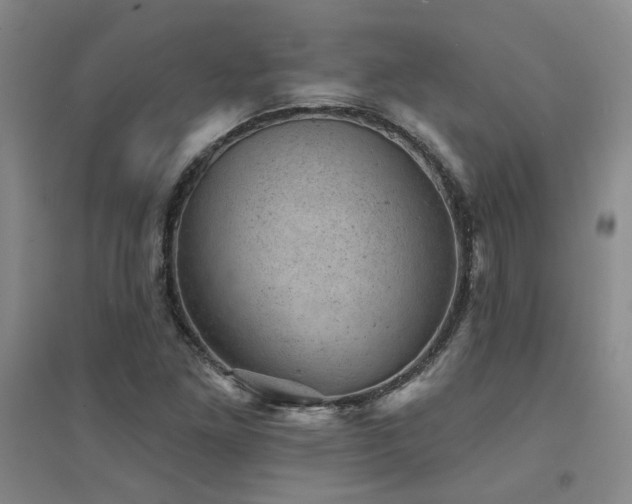 X0000094441261200711081240