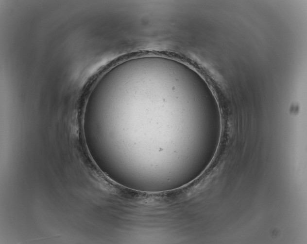 X0000094441262200711081240