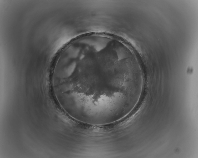 X0000094441263200711081240