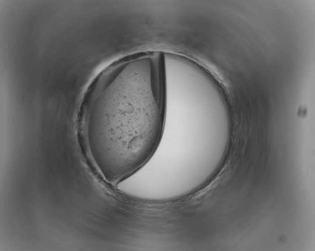 X0000094441264200711081240