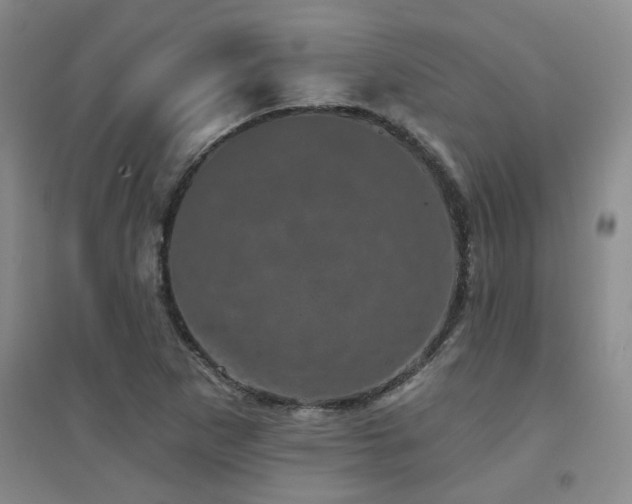 X0000094441265200711081240