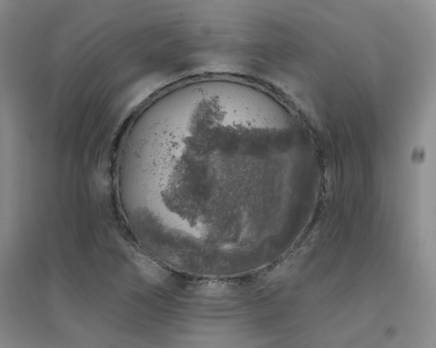 X0000094441266200711081240