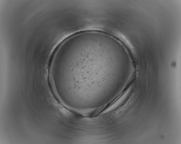 X0000094441268200711081240