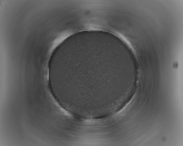 X0000094441269200711081240