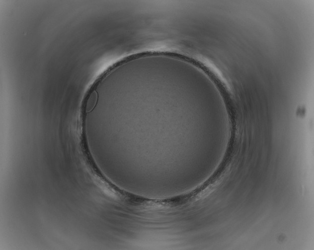 X0000094441270200711081240