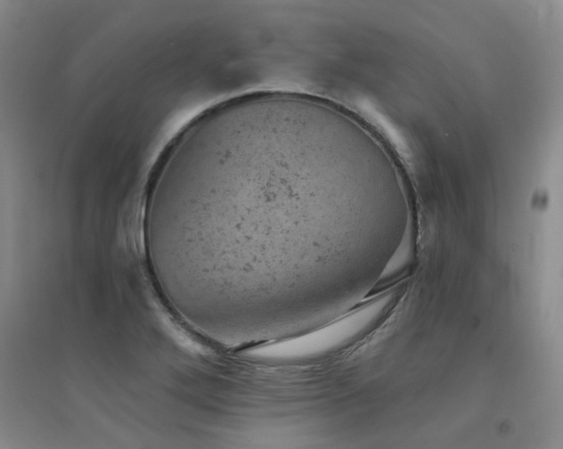 X0000094441272200711081240
