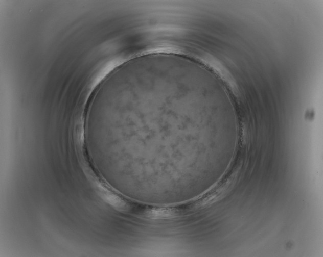 X0000094441274200711081240