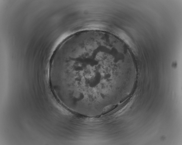 X0000094441275200711081240