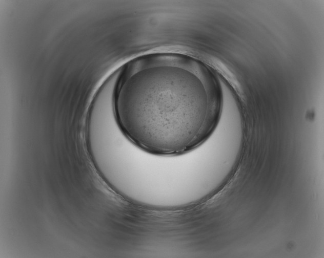 X0000094441276200711081240