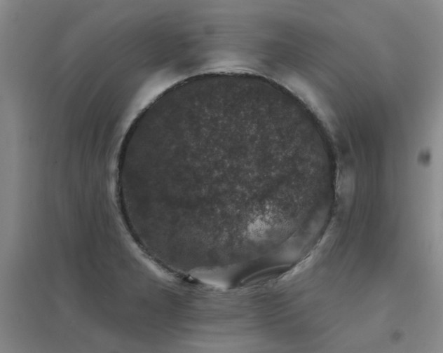 X0000094441277200711081240