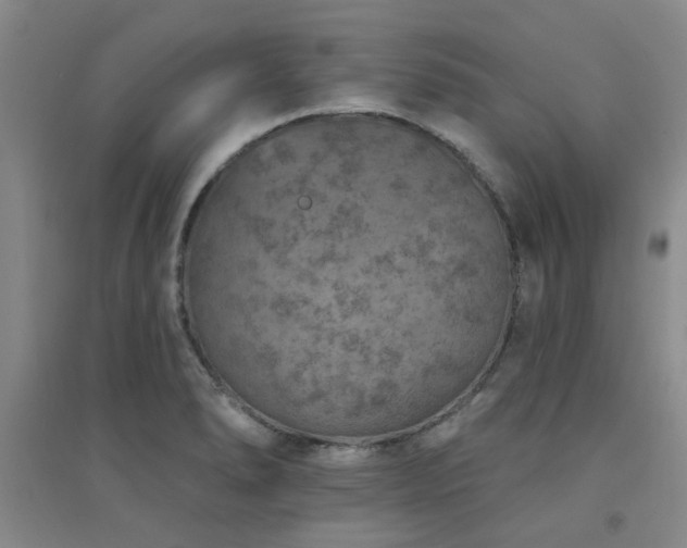 X0000094441278200711081240
