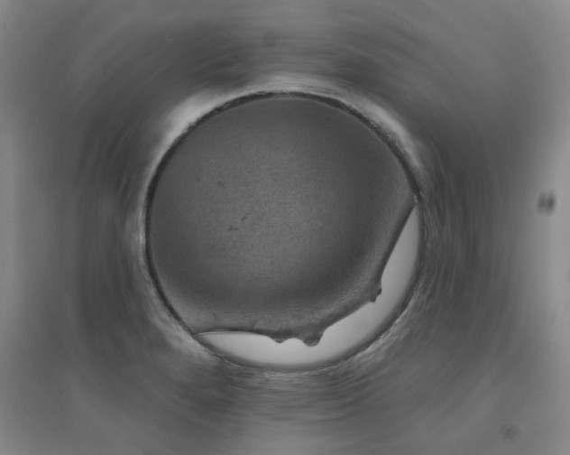X0000094441280200711081240