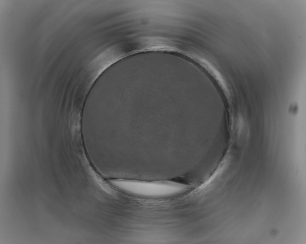 X0000094441281200711081240