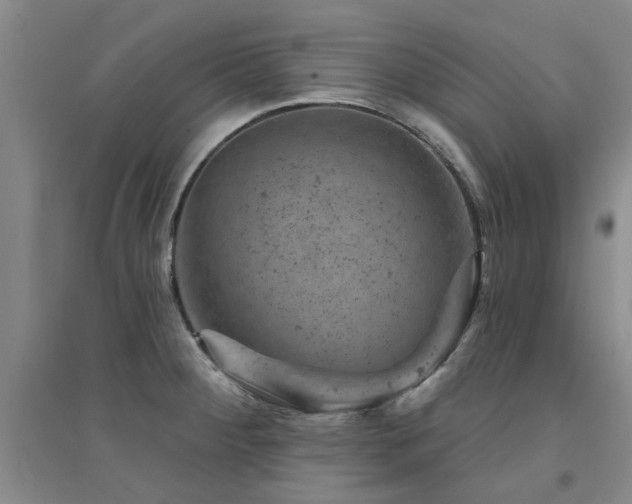 X0000094441284200711081240