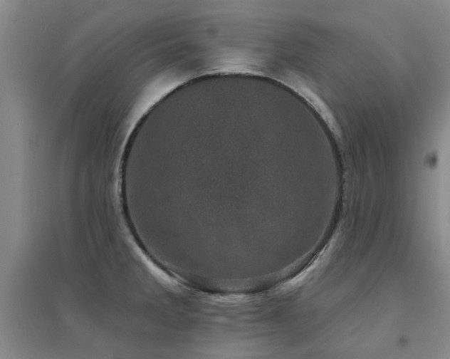X0000094441285200711081240