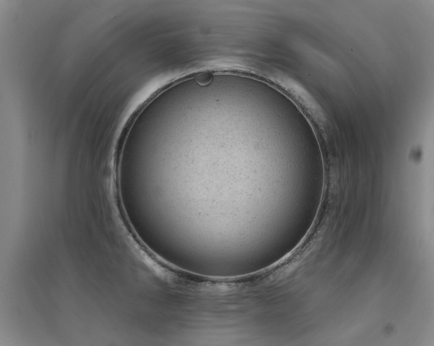 X0000094441286200711081240