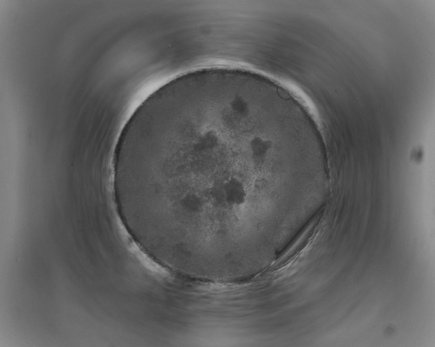 X0000094441287200711081240