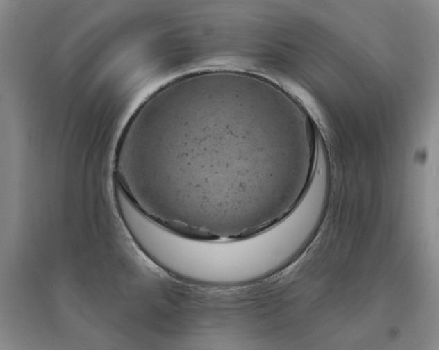 X0000094441288200711081240
