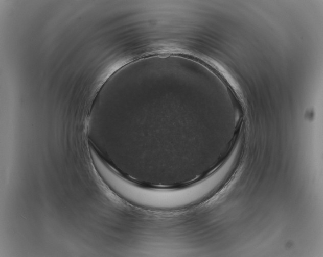 X0000094441289200711081240