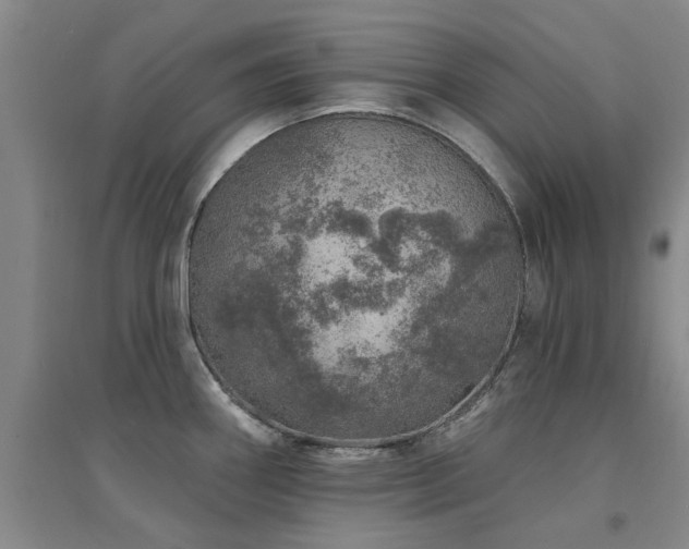 X0000094441290200711081240