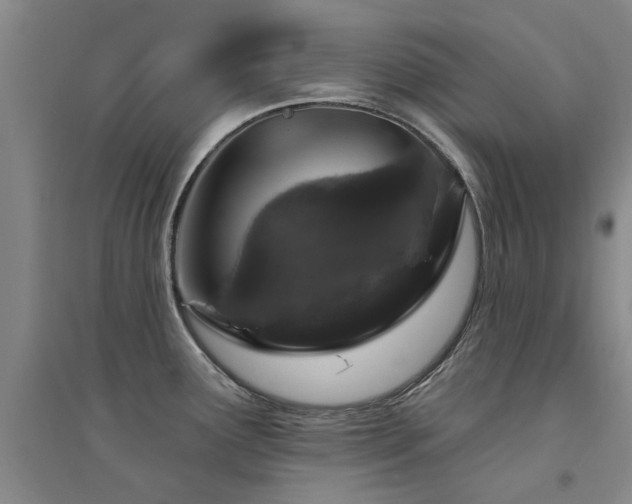 X0000094441291200711081240