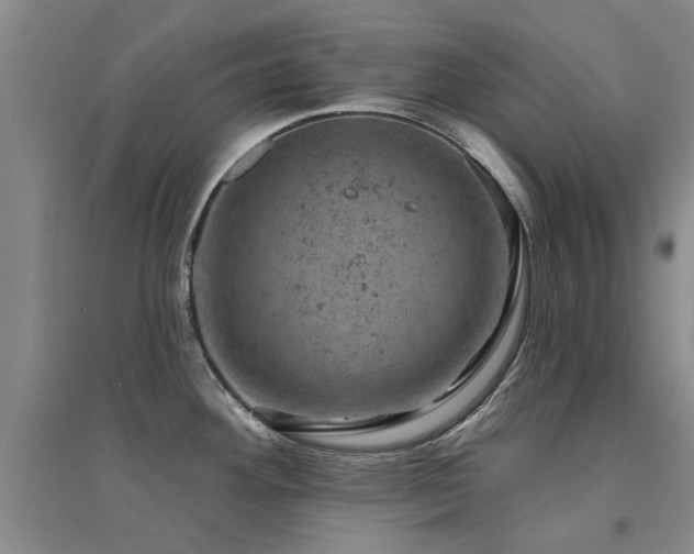 X0000094441292200711081240