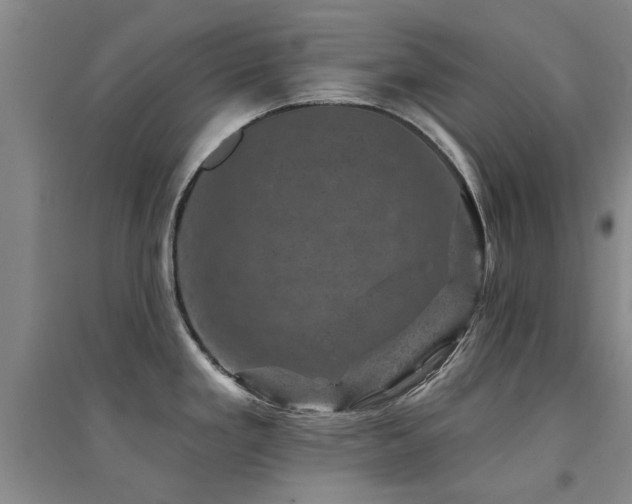 X0000094441293200711081240