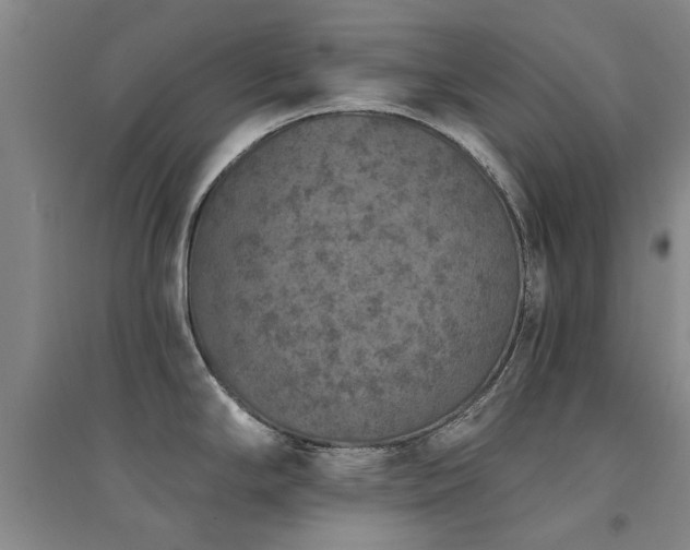 X0000094441294200711081240