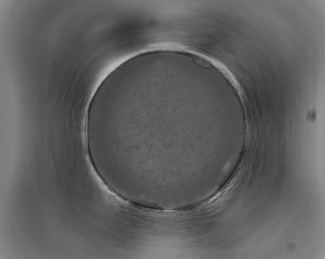 X0000094441295200711081240