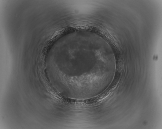 X0000094441297200711081239