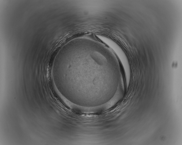 X0000094441298200711081239