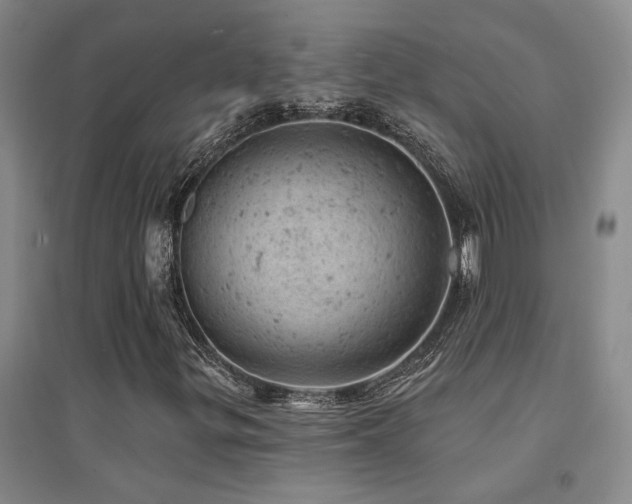 X0000094441299200711081239