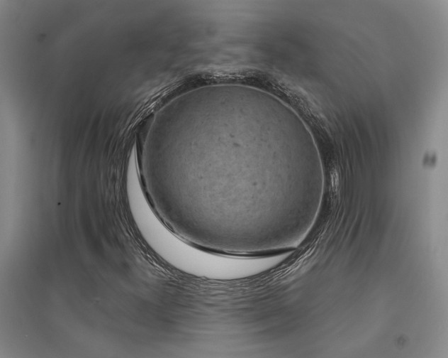 X0000094441300200711081239