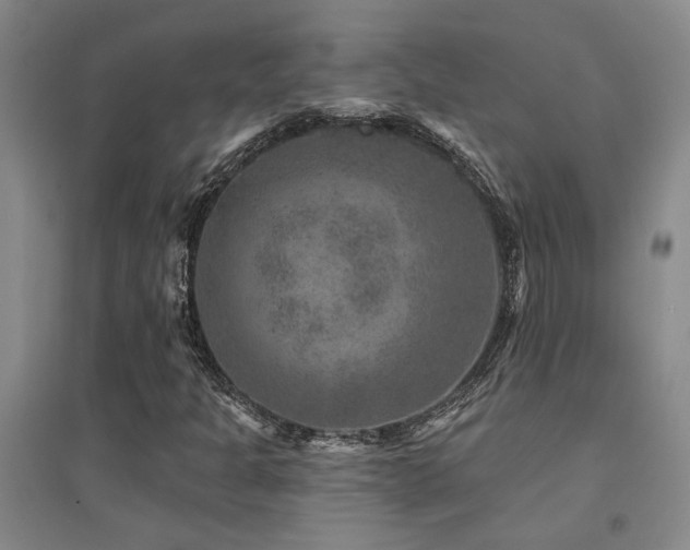 X0000094441301200711081239