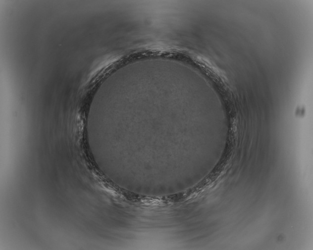 X0000094441302200711081239
