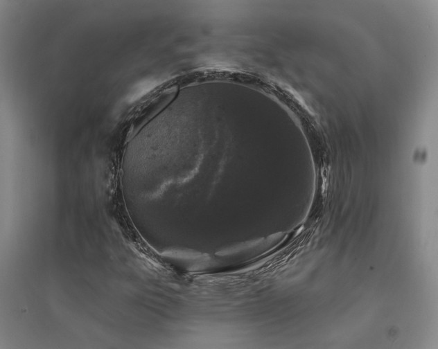 X0000094441303200711081239