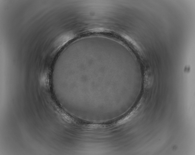 X0000094441305200711081239