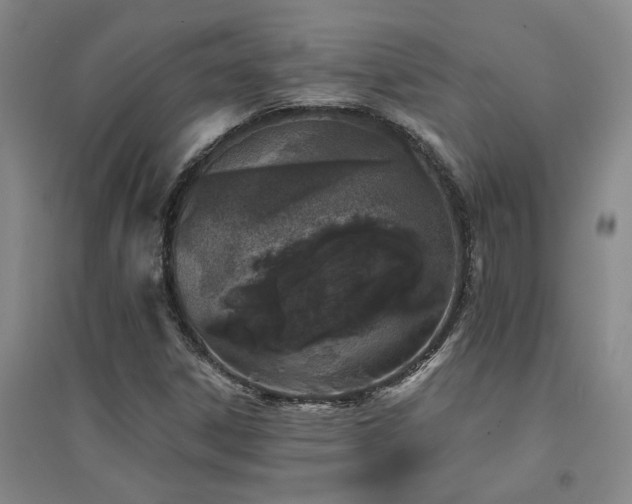 X0000094441306200711081239