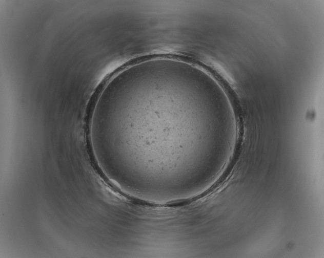X0000094441308200711081239