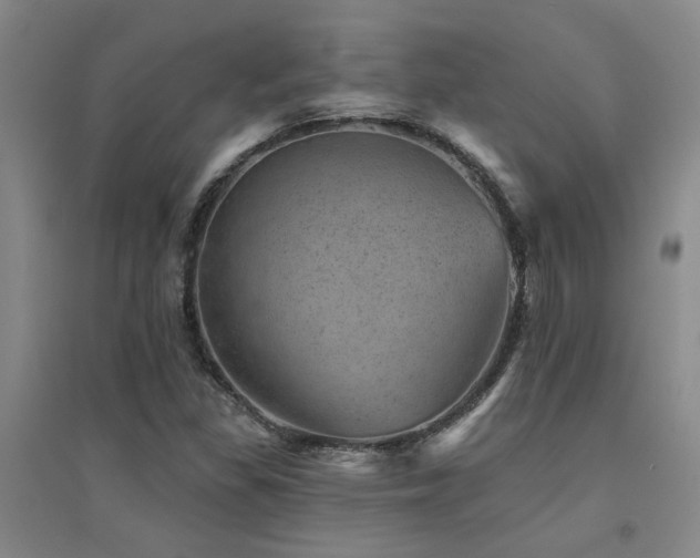 X0000094441309200711081239