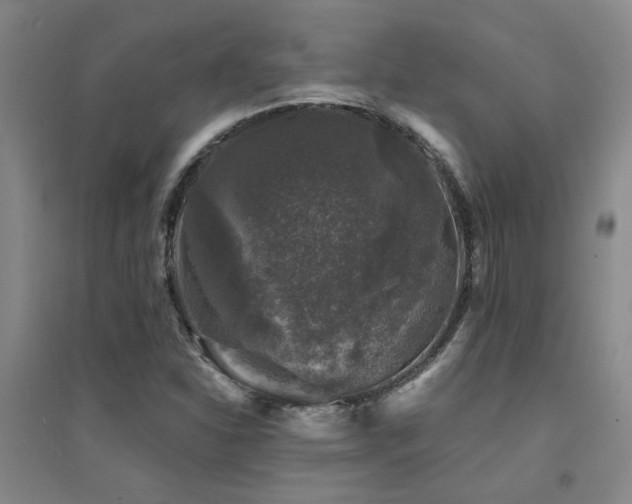 X0000094441310200711081239