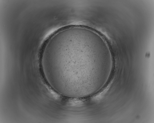 X0000094441311200711081239