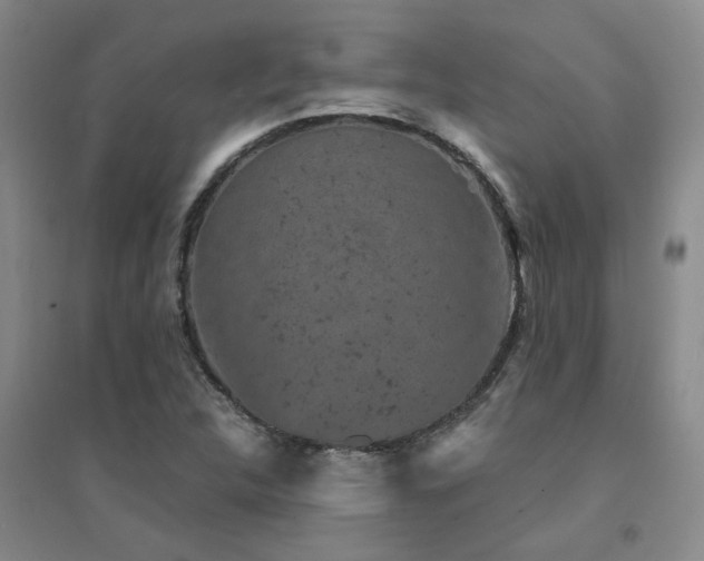 X0000094441312200711081239