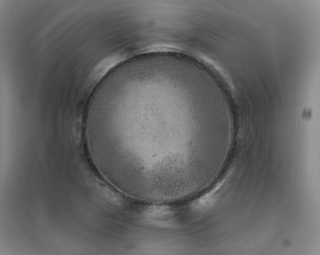X0000094441313200711081239