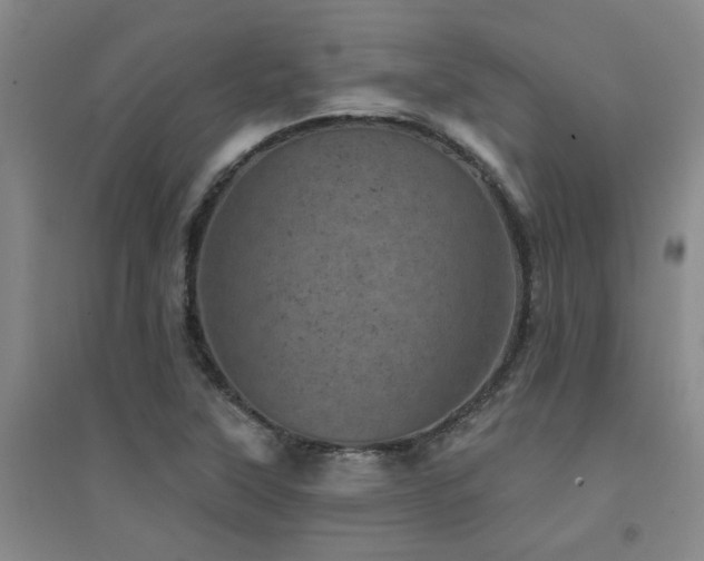 X0000094441315200711081239