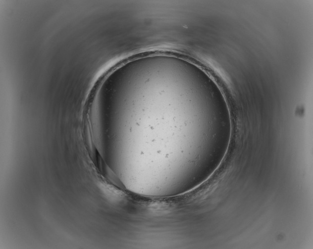 X0000094441316200711081239