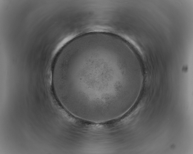 X0000094441317200711081240