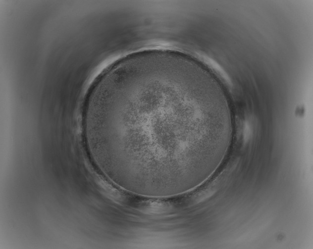 X0000094441318200711081240