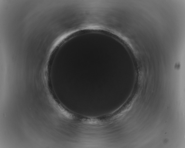 X0000094441319200711081240