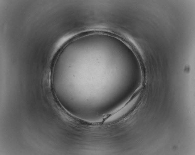 X0000094441320200711081240
